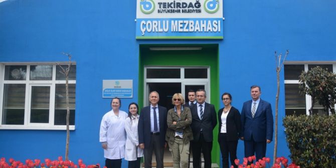 Ayşe Arman’dan Çorlu Mezbahasına Ziyaret