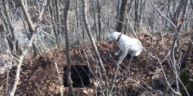 Bitlis’te Terör Operasyonu