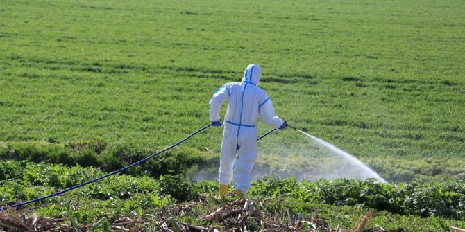 Su Kanallarında İlaçlama Çalışması Başladı