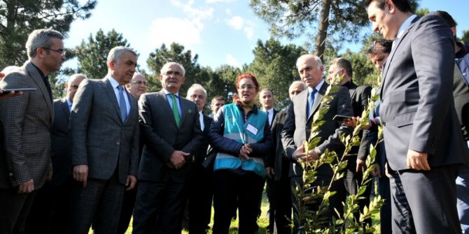 Protokol Ve Hükümlüler Fidan Dikti