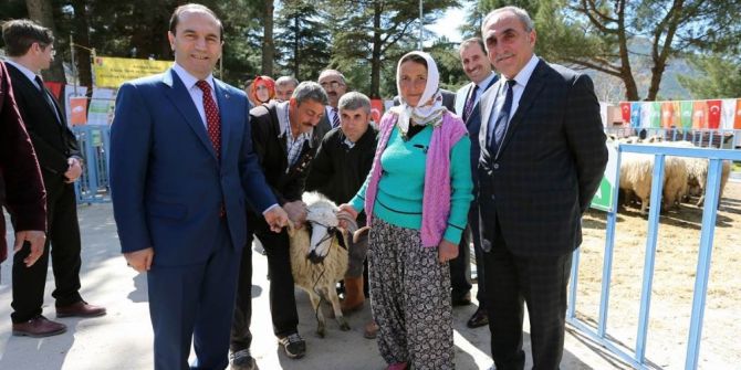 Vali Işık Koç Dağıttı