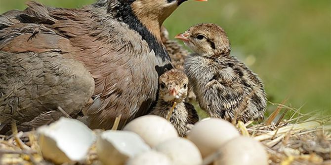 Avcılara Av Yasağı Uyarısı