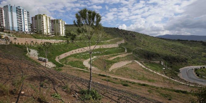 Karşıyaka’da 3 Yılda 50 Bin Fidan Toprakla Buluştu