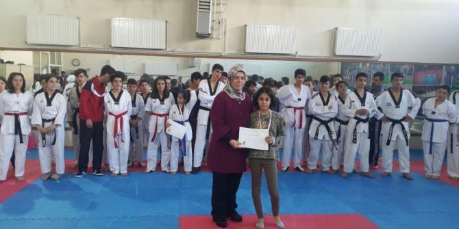 Van’da Tekvando İl Şampiyonası