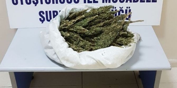 Batman’da 1 Kilo 900 Gram Esrar Ele Geçirildi