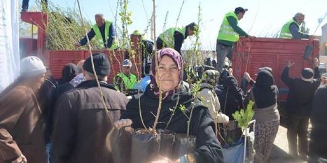 Beylikova’da 10 Bin Ücretsiz Fidan Dağıtıldı
