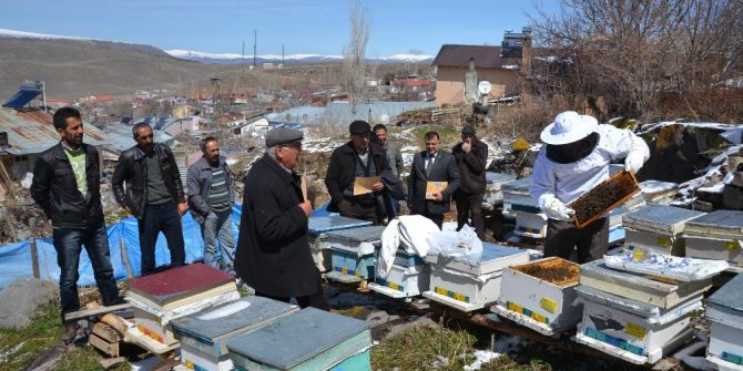 Şenkaya’da Arı Yetiştiriciliği Kurslarına Yoğun İlgi