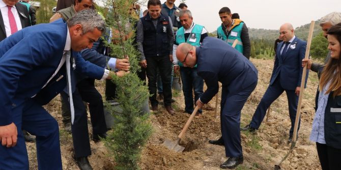 Hükümlüler 15 Temmuz Anısına Fidan Dikti
