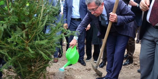 Pursaklar’da Ağaçlandırma Seferberliği Sürüyor
