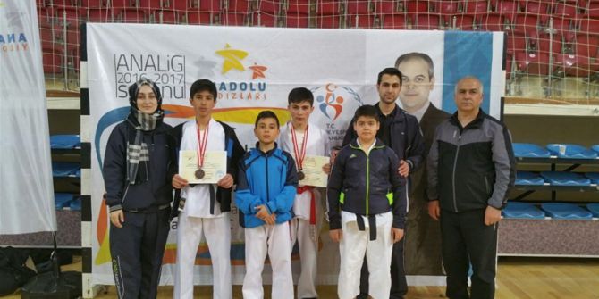 Analig Karate ’Den Derece