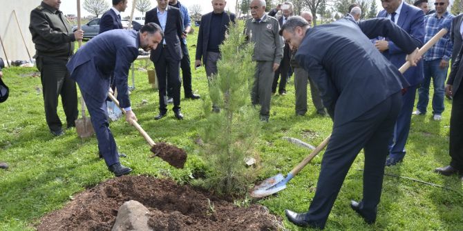 Hükümlüler Fidan Dikti