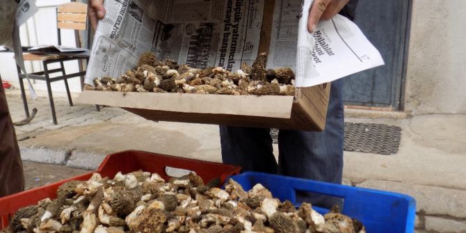 Kuzugöbeği Fiyatları Düşmedi