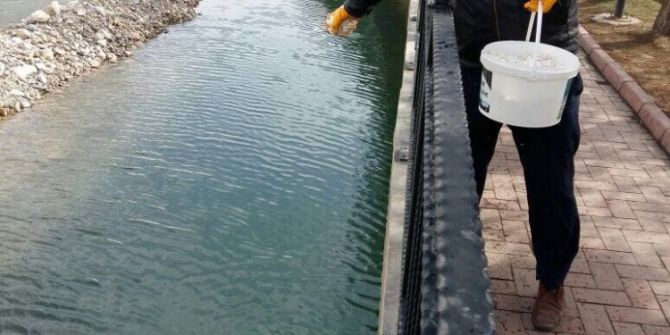 Larvalarla Mücadele Başladı