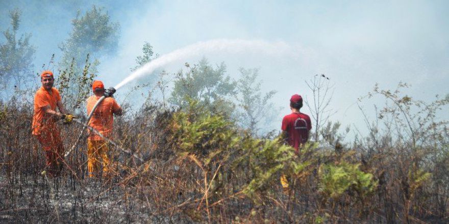 Kocaeli’de 20 Dönümlük Ormanlık Alan Kül Oldu