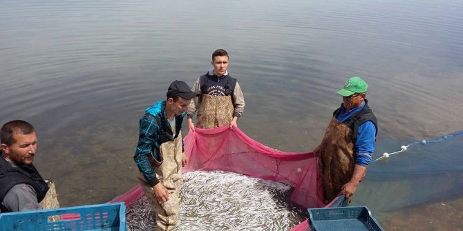 İznik Gölü’nde Gümüş Balığı Sezonu Açıldı