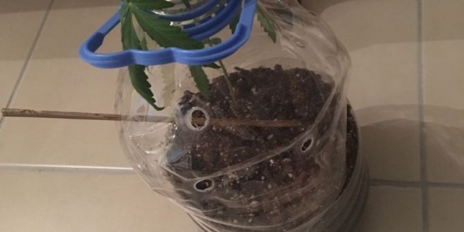 Jandarmadan ’Yeşil Kokain’ Operasyonu