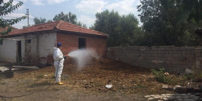 Büyükşehir Sinek Ve Haşerelerle Mücadele Ediyor