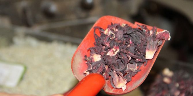 Bahar Yorgunluğuna Karşı Bitki Çayları