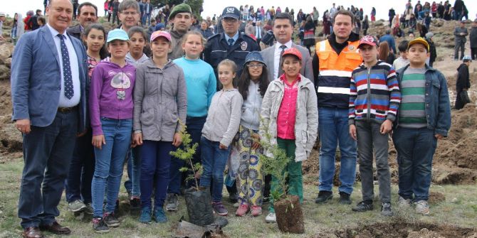 Seyitgazi’de Herkesin Bir Fidanı Var