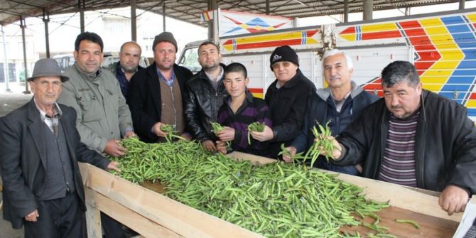 Ödemiş’te Bakla Ve Bezelye Vakti