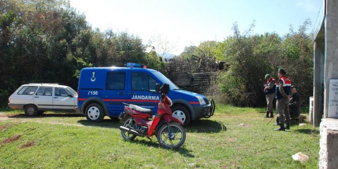 Ağıldan Koyunlar Çalındı