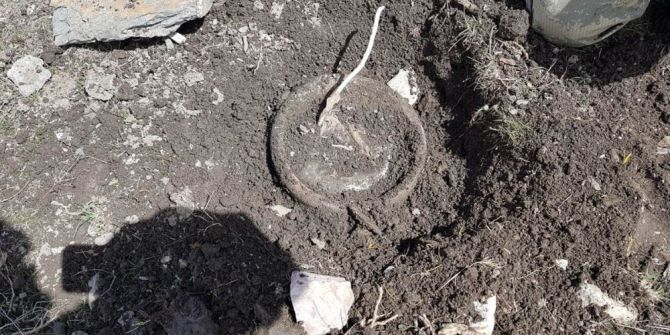 Tuzaklanan Eyp İmha Edildi