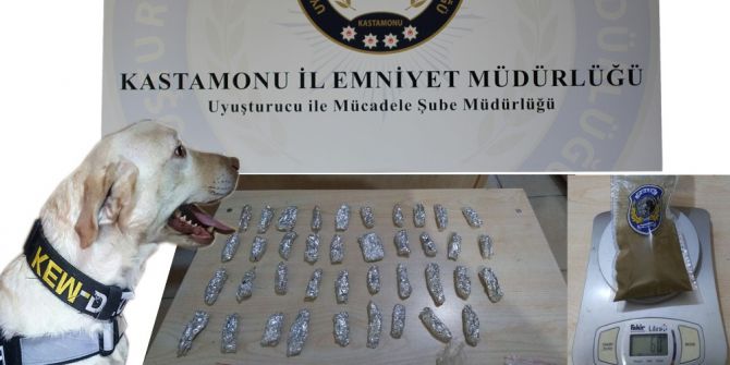 Kastamonu’da Uyuşturucu Operasyonu