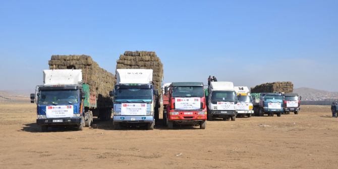 Tika’dan Moğolistan’daki Hayvancılık Projelerine Destek