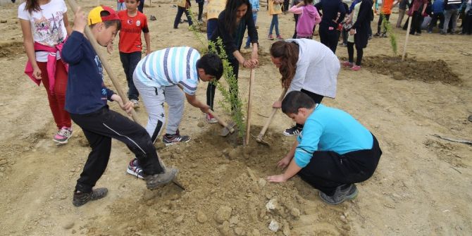 Turgutlulu Öğrencilerden Fidan Dikimi