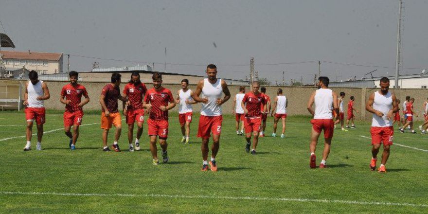 Naz Naz’da Herşey Yolunda