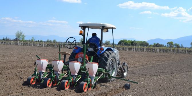 Mısır Üreticisinin Beklentisi 1 Lira