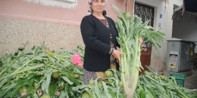 Enginar Sofraların Vazgeçilmezi