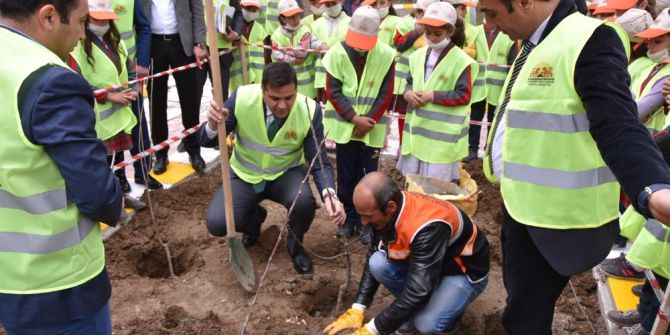 İpekyolu Belediyesinden Fidan Dikimi