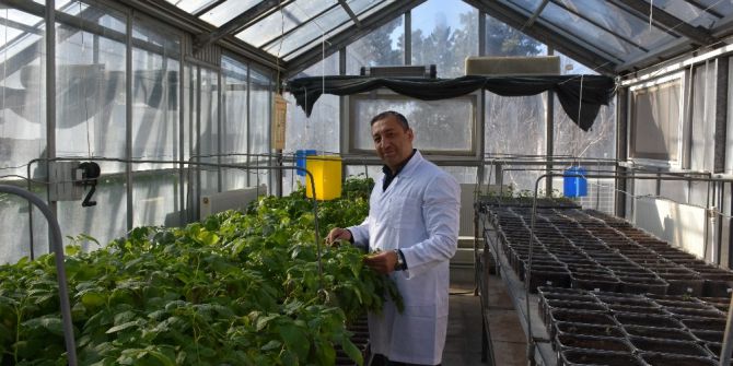 Niğde’de 3 Yerli Patates Daha Tescillendi