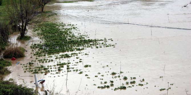 Sason Çayı Taştı, Meyve Tarlaları Sular Altında Kaldı