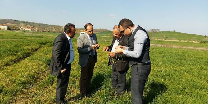 Tarım Müdürlüğü Ekiplerinin Hububat Kontrolleri Başladı
