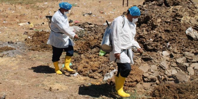 Köylerde Sinekle Mücadele