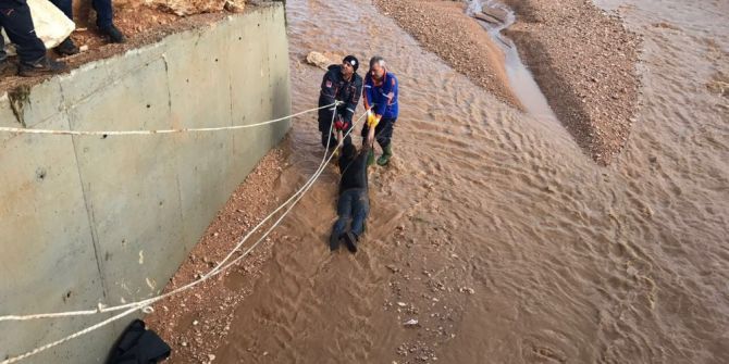 Sel Sularına Kapılan Kişi Hayatını Kaybetti
