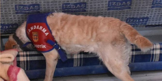 Uyuşturucu Tacirleri ‘Uçuk’ Ve ‘Eğdi’den Kaçamadı