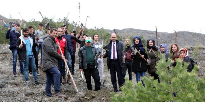 Gençler Fidan Dikti