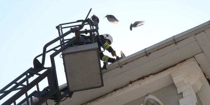 Çatıya Sıkışan Güvercini İtfaiye Kurtardı