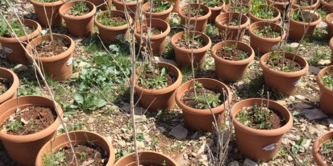 Diyarbakır’da 1 Terörist Ölü Ele Geçirildi