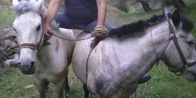 Böyle Jokey Görülmedi, Aynı Anda İki Ata Biniyor