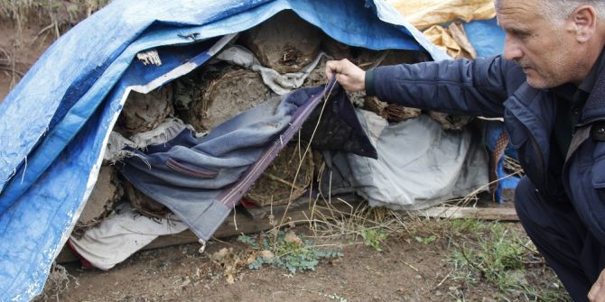 Şemdinli’de Arı Ölümleri