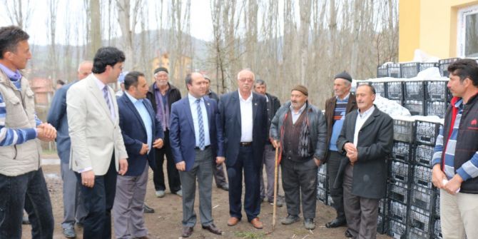 Çorum İl Özel İdaresi’nden Tarım Ve Hayvancılığa Büyük Destek