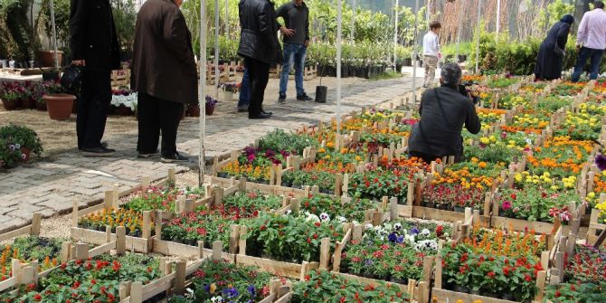 Şanlıurfalılar Fesleğeni Tercih Ediyor