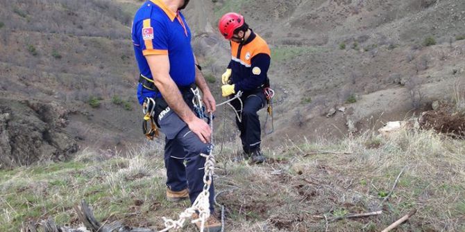 Kayalıklarda Mahsur Kalan Keçileri Afad Kurtardı