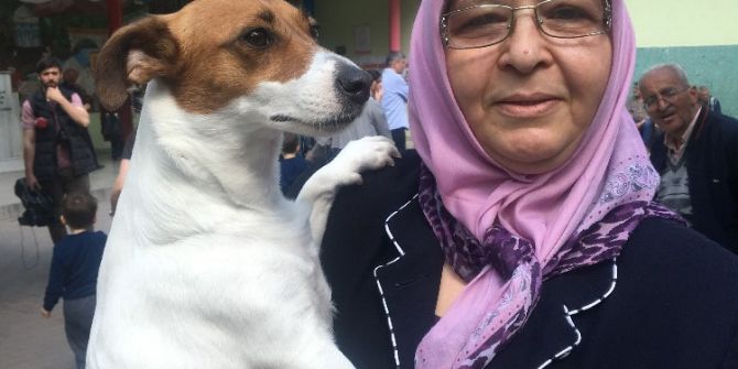 Oy Kullanmaya Köpeğiyle Geldi