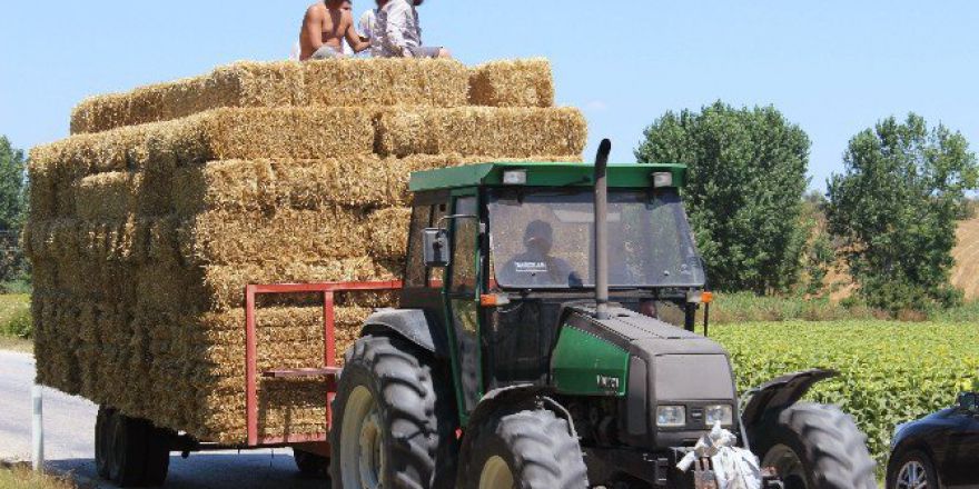 Saman Balyaları Üzerinde Tehlikeli Yolculuk