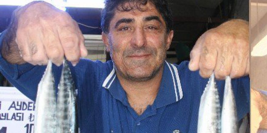 Palamut Bu Yıl Kendini Erken Gösterdi